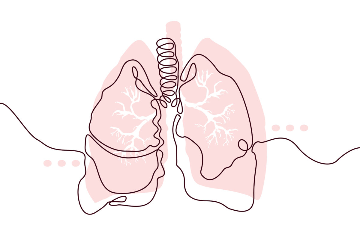 Line art lung outline with shaded pink silhouette